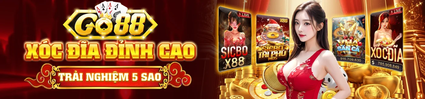 Banner www.toarco.com